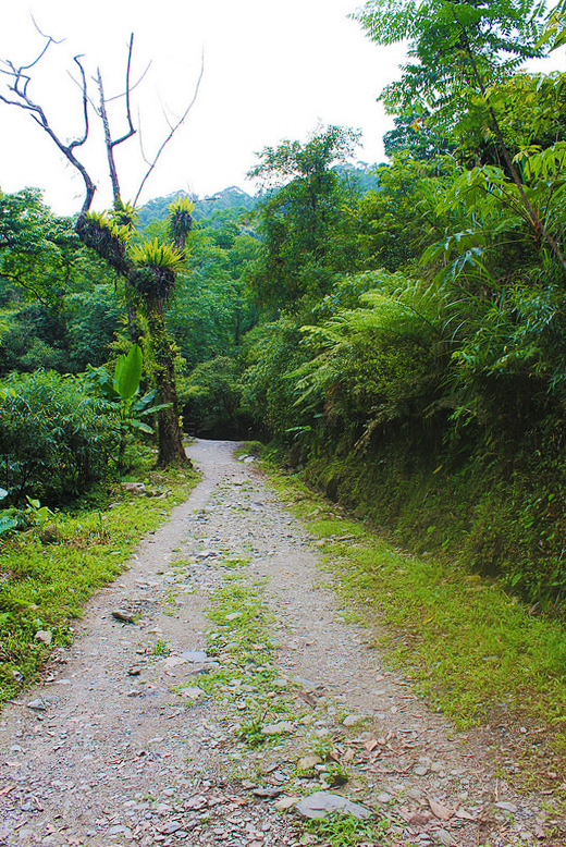 41558318404_5fdeee4588_c