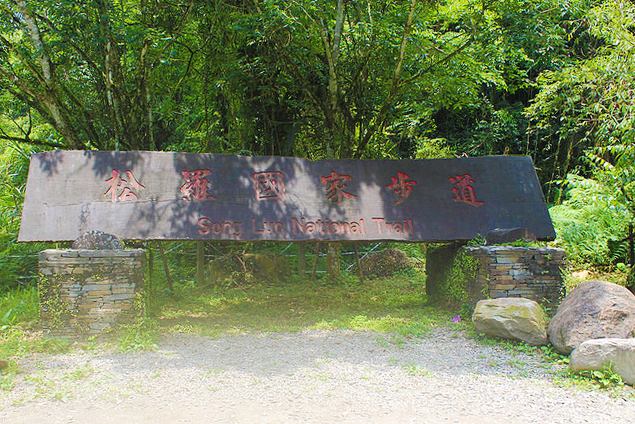 42279990691_cf53165db7_c