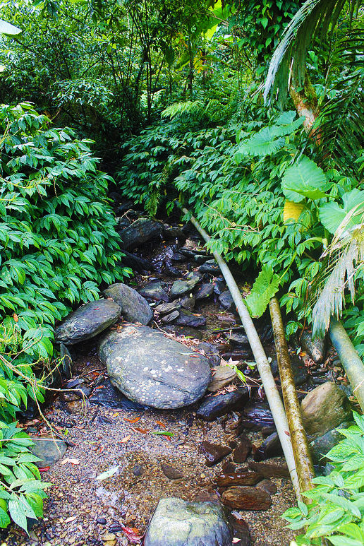 42280221831_00fdbcbde0_c