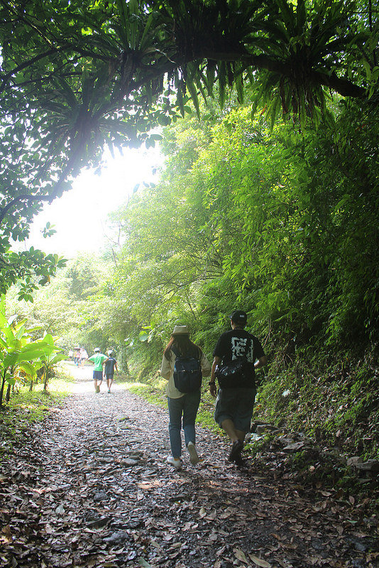 41377682425_dedfab9ee8_c