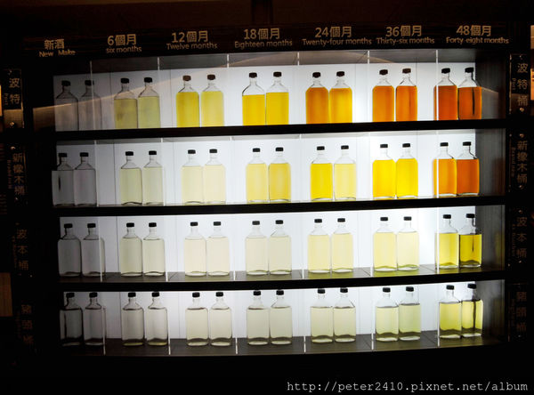 綠12公車 (50).jpg