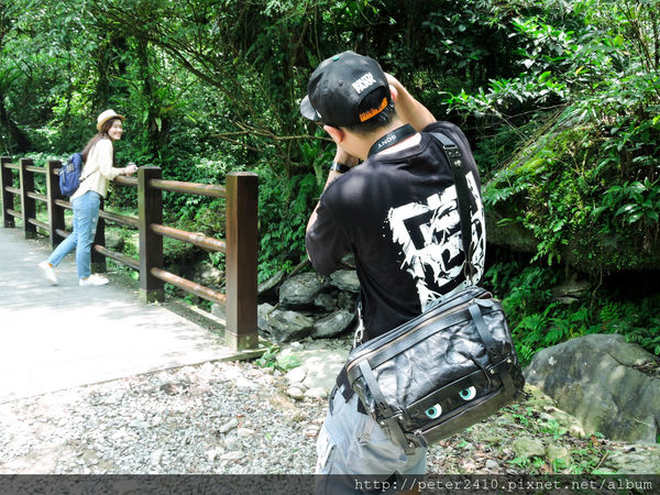 綠12公車 (32).jpg