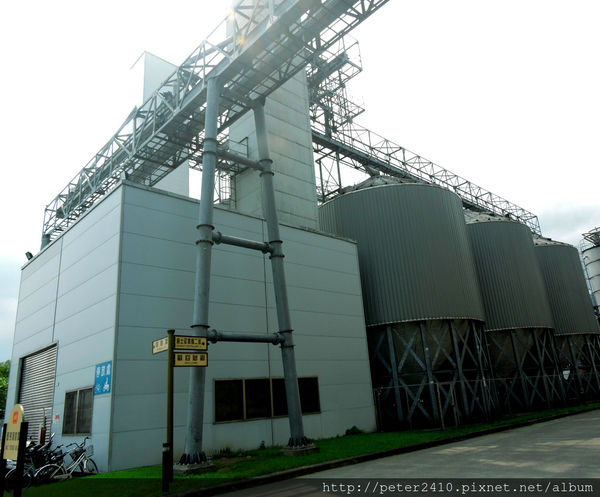 綠12公車 (39).jpg