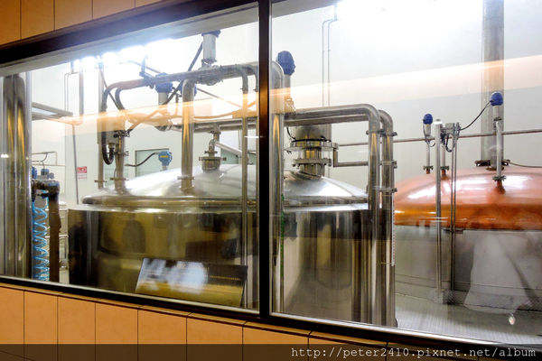 綠12公車 (55).jpg