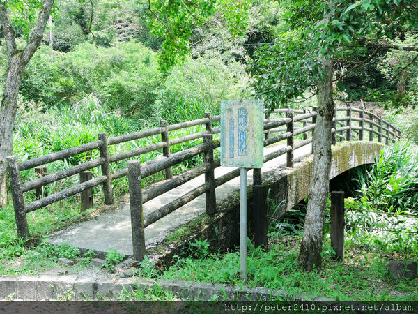 綠12公車 (13).jpg