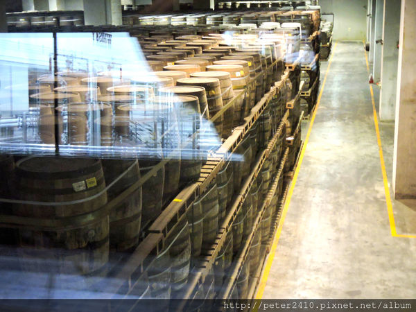 綠12公車 (60).jpg