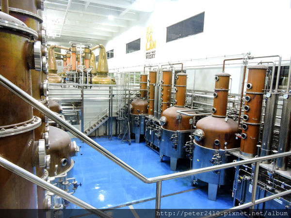 綠12公車 (59).jpg