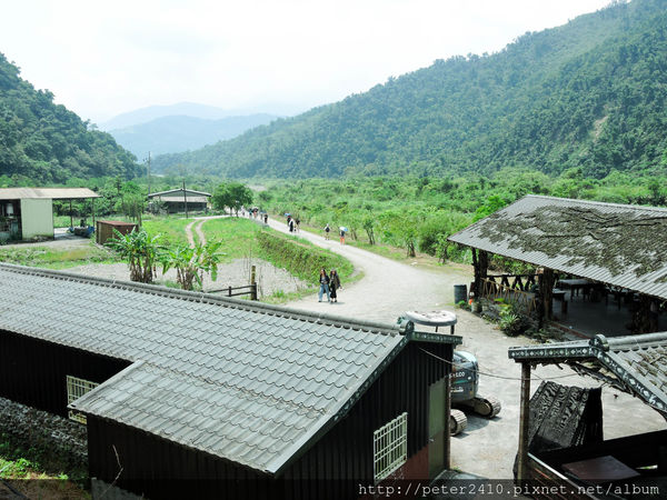 綠12公車 (17).jpg