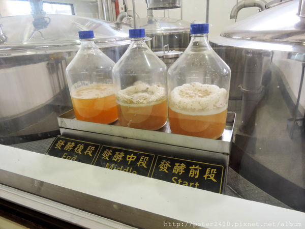 綠12公車 (57).jpg