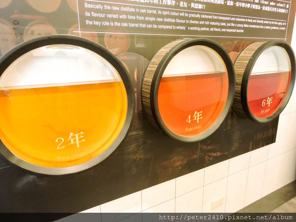 綠12公車 (51).jpg