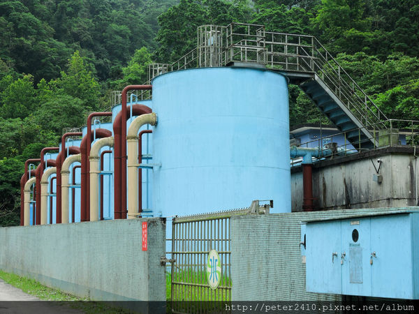 綠12公車 (23).jpg