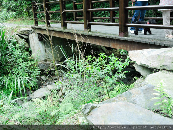 綠12公車 (30).jpg