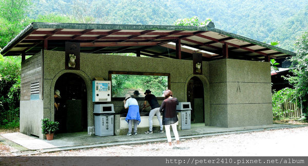 綠12公車 (18).jpg