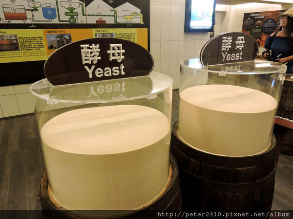 綠12公車 (52).jpg