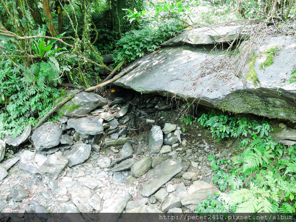 綠12公車 (31).jpg