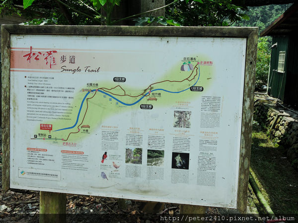 綠12公車 (19).jpg