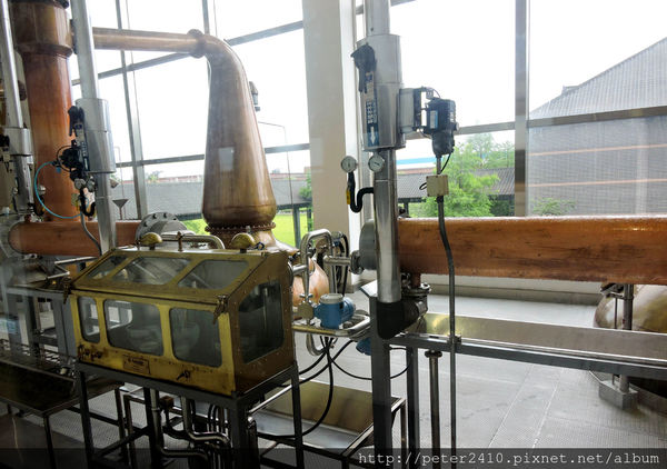 綠12公車 (58).jpg