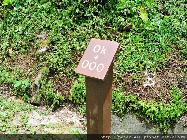 綠12公車 (27).jpg