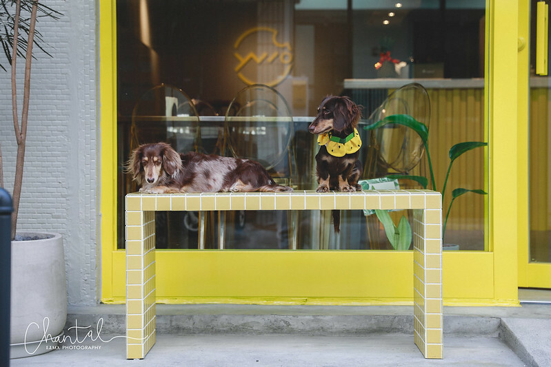 _J6A3503-2 拷貝 _J6A3503-2 拷貝