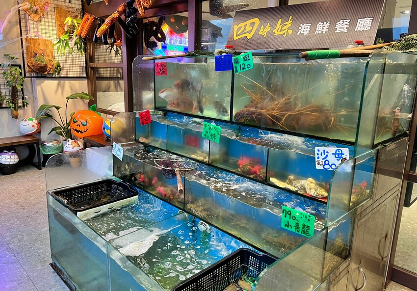 秋蟹駕到～快來萬里吃螃蟹大餐｜四姊妹海鮮餐廳，新鮮美味沒話說｜新北野柳美食