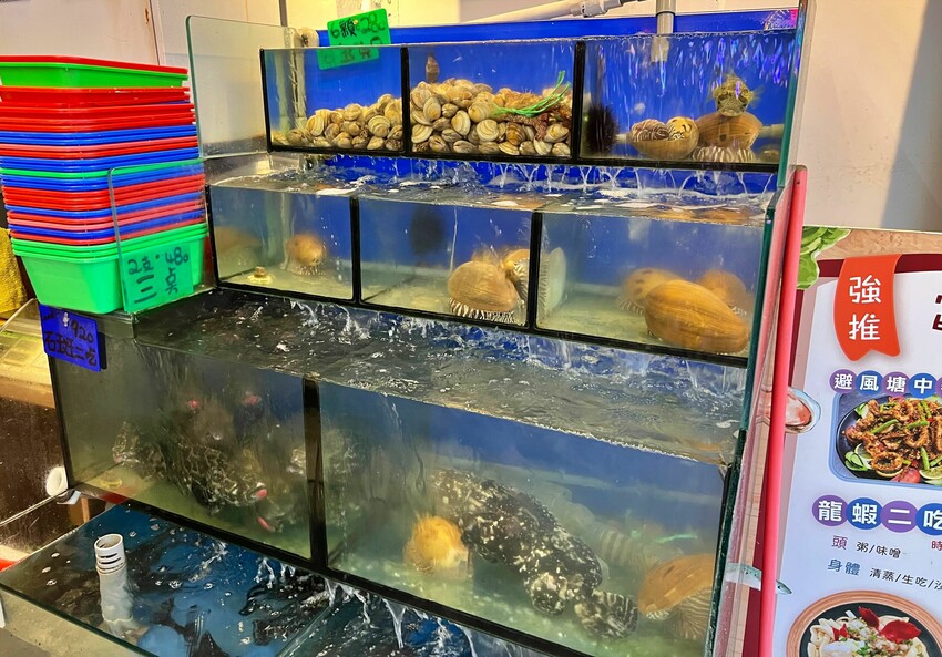 秋蟹駕到～快來萬里吃螃蟹大餐｜四姊妹海鮮餐廳，新鮮美味沒話說｜新北野柳美食