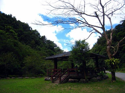 探訪山林秘境~~~九寮溪生態園區