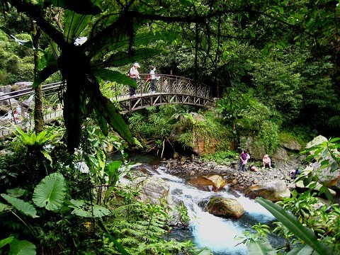 探訪山林秘境~~~九寮溪生態園區