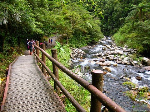探訪山林秘境~~~九寮溪生態園區