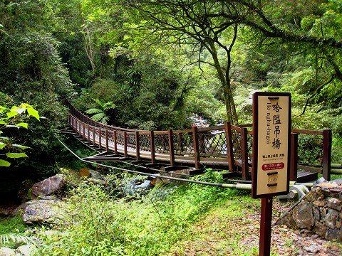 探訪山林秘境~~~九寮溪生態園區