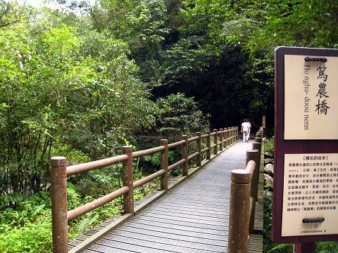 探訪山林秘境~~~九寮溪生態園區