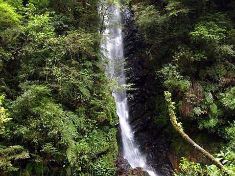 探訪山林秘境~~~九寮溪生態園區