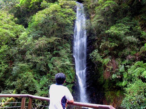 探訪山林秘境~~~九寮溪生態園區