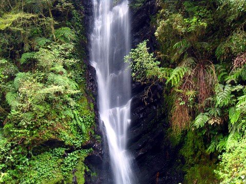 探訪山林秘境~~~九寮溪生態園區