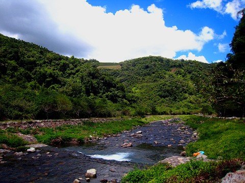 探訪山林秘境~~~九寮溪生態園區
