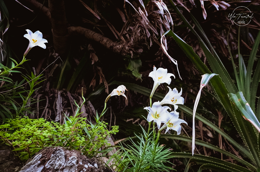 宜蘭頭城景點絕美海景北關海潮公園從龜山島與一線天看見隙縫中的美麗世界 - 微笑娃生活旅行