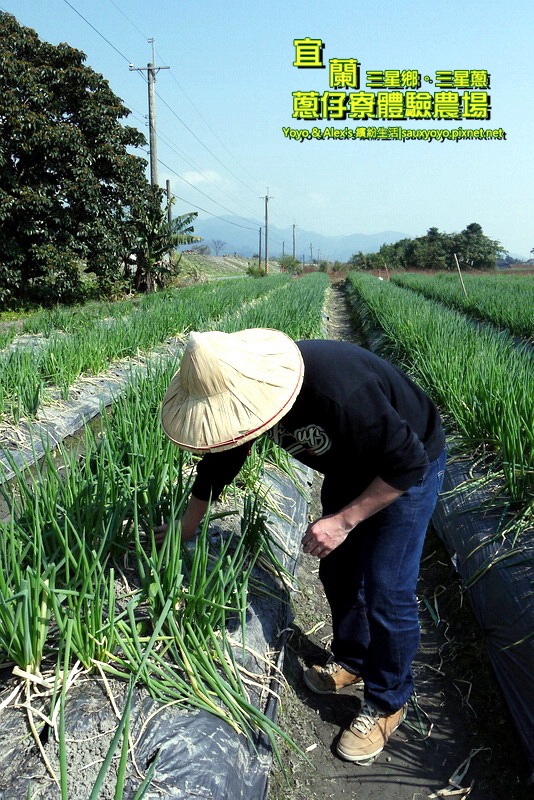 P1710772.jpg P1710772.jpg