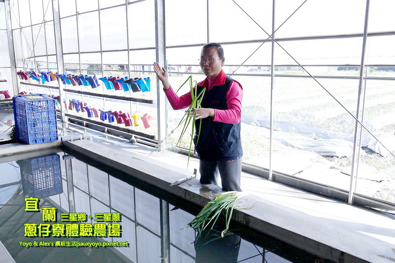 P1710762.jpg P1710762.jpg