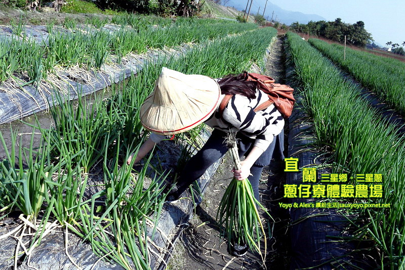 P1710779.jpg P1710779.jpg