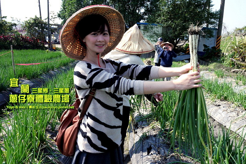 P1710775.jpg P1710775.jpg