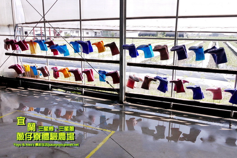 P1710755.jpg P1710755.jpg