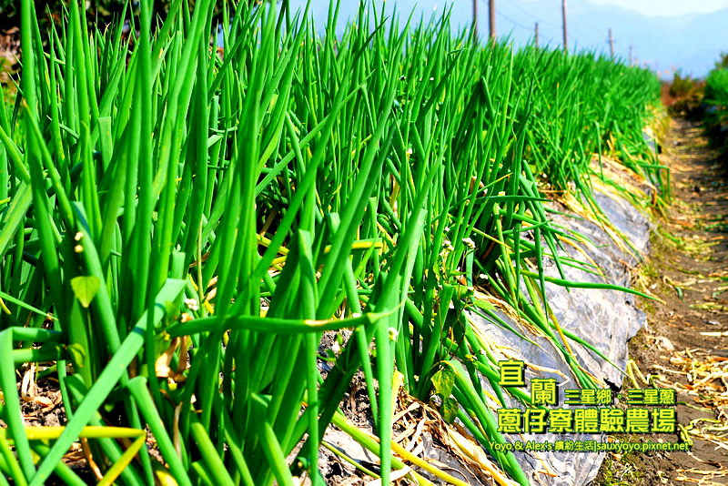 P1710773.jpg P1710773.jpg