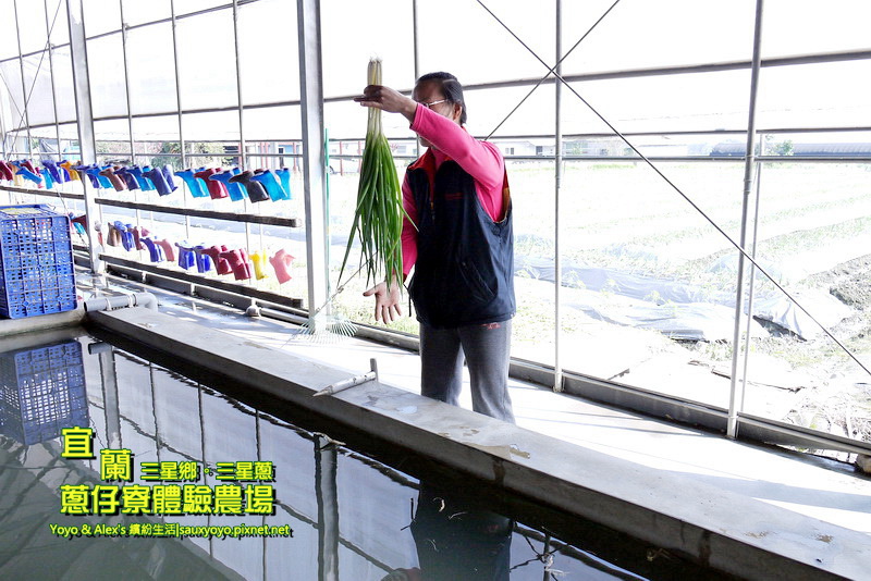 P1710759.jpg P1710759.jpg