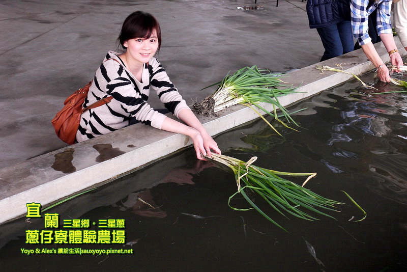 P1710784.jpg P1710784.jpg