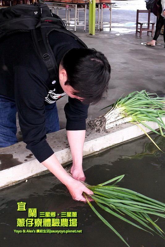 P1710788.jpg P1710788.jpg