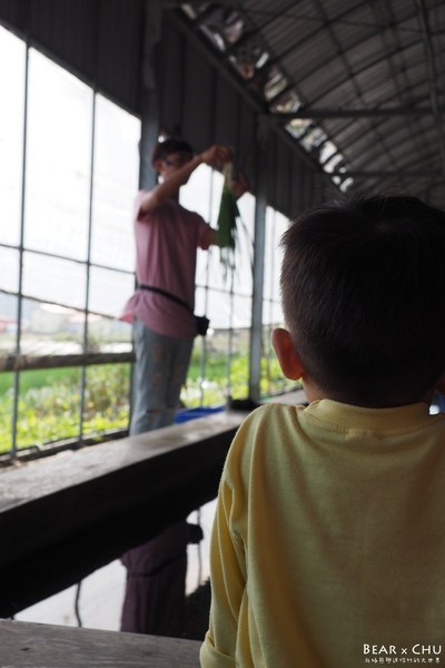 蔥仔寮體驗農場:宜蘭三星蔥仔寮體驗農場・體驗田裡拔蔥、蔥油餅DIY