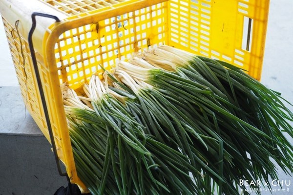 蔥仔寮體驗農場:宜蘭三星蔥仔寮體驗農場・體驗田裡拔蔥、蔥油餅DIY