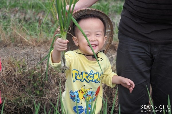蔥仔寮體驗農場:宜蘭三星蔥仔寮體驗農場・體驗田裡拔蔥、蔥油餅DIY