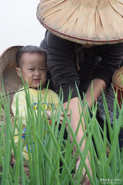 蔥仔寮體驗農場:宜蘭三星蔥仔寮體驗農場・體驗田裡拔蔥、蔥油餅DIY