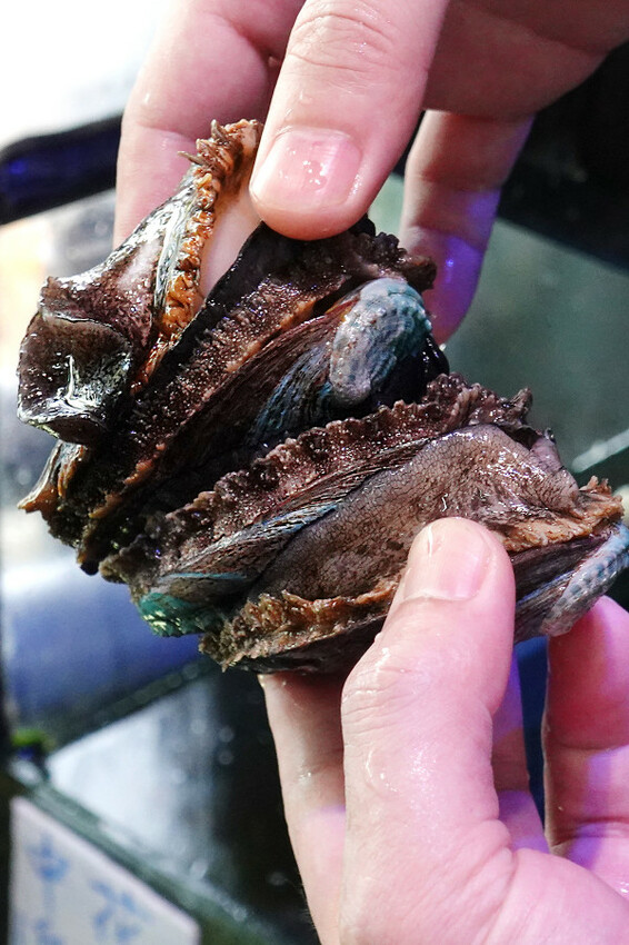 新北市萬里區有自己漁船、價格透明的活海鮮人氣王，不只萬里星巴克打卡！北海岸一日遊規劃萬里這家大益發活海鮮才是真正美食天堂