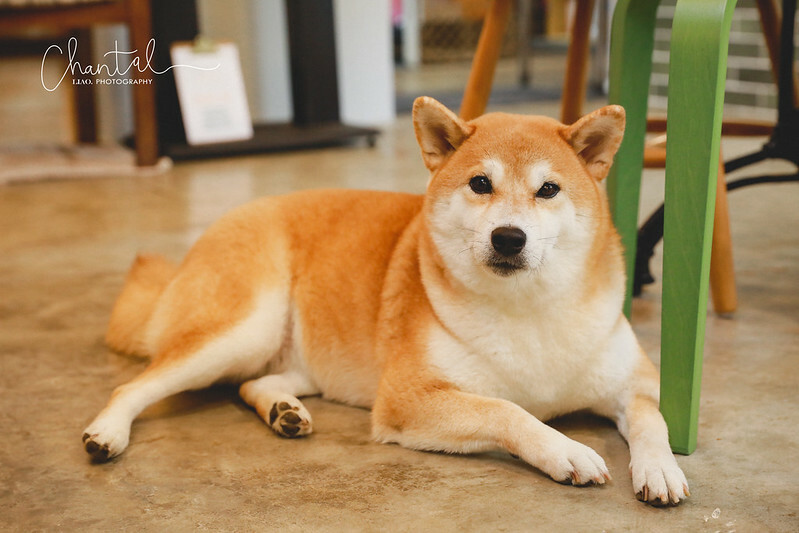 _J6A6181-2 拷貝 _J6A6181-2 拷貝